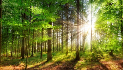 |click below to view more related images: