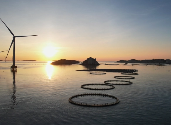 Stealing thunder – Scaling Asia wind power is harder than it looks