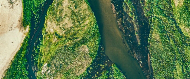 Greenwashing Exposed – Sanctions and Claims in Financial Services Across Europe