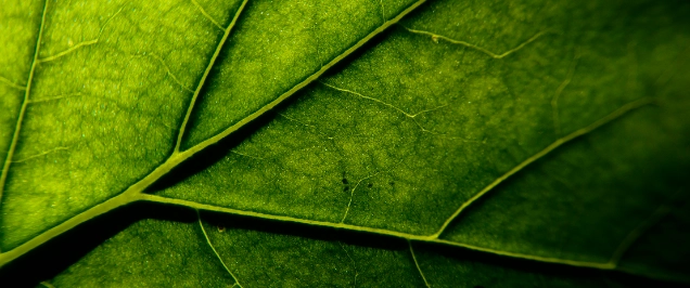 EU Taxonomy Overhaul: Commission publishes draft revisions to Climate and Environmental Delegated Acts