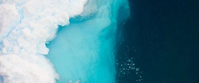 Managing risk: A disputes perspective (2020)