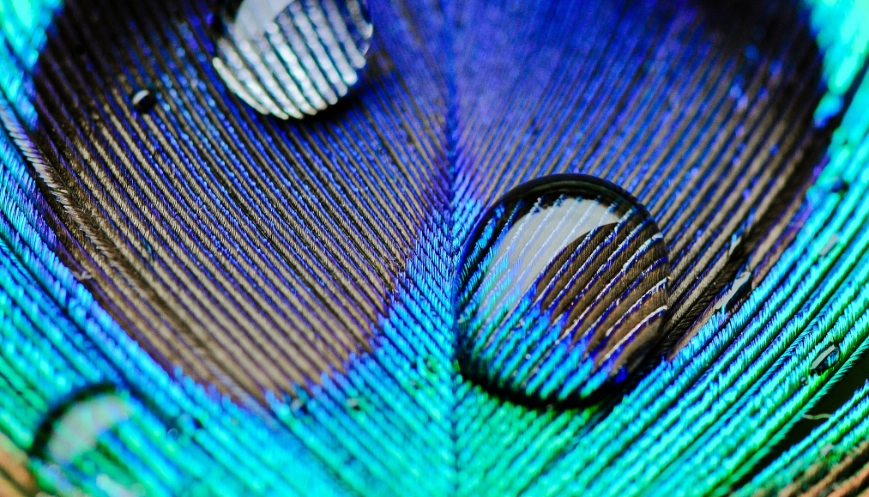 IP Australia releases consultation paper on IP reforms 