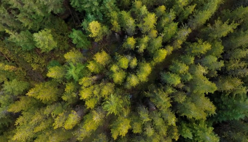 Net zero investing – 'You can't just stick a wind turbine on your marketing anymore'