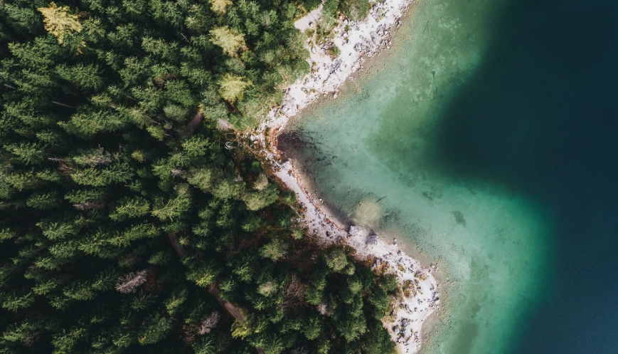 Inter-American Court of Human Rights takes a Landmark Step in Climate and Human Rights Jurisprudence: Implications for States and Private Actors