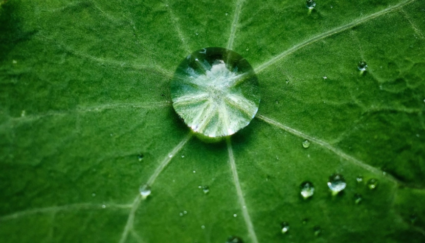 Hydrogen-Blog-image-scaled-e1629892920744